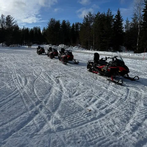 Snowmobiles on a forest trail in the snow
