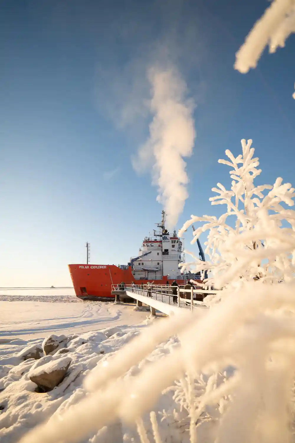 The icebreaker at the quay behind a frost-covered tree