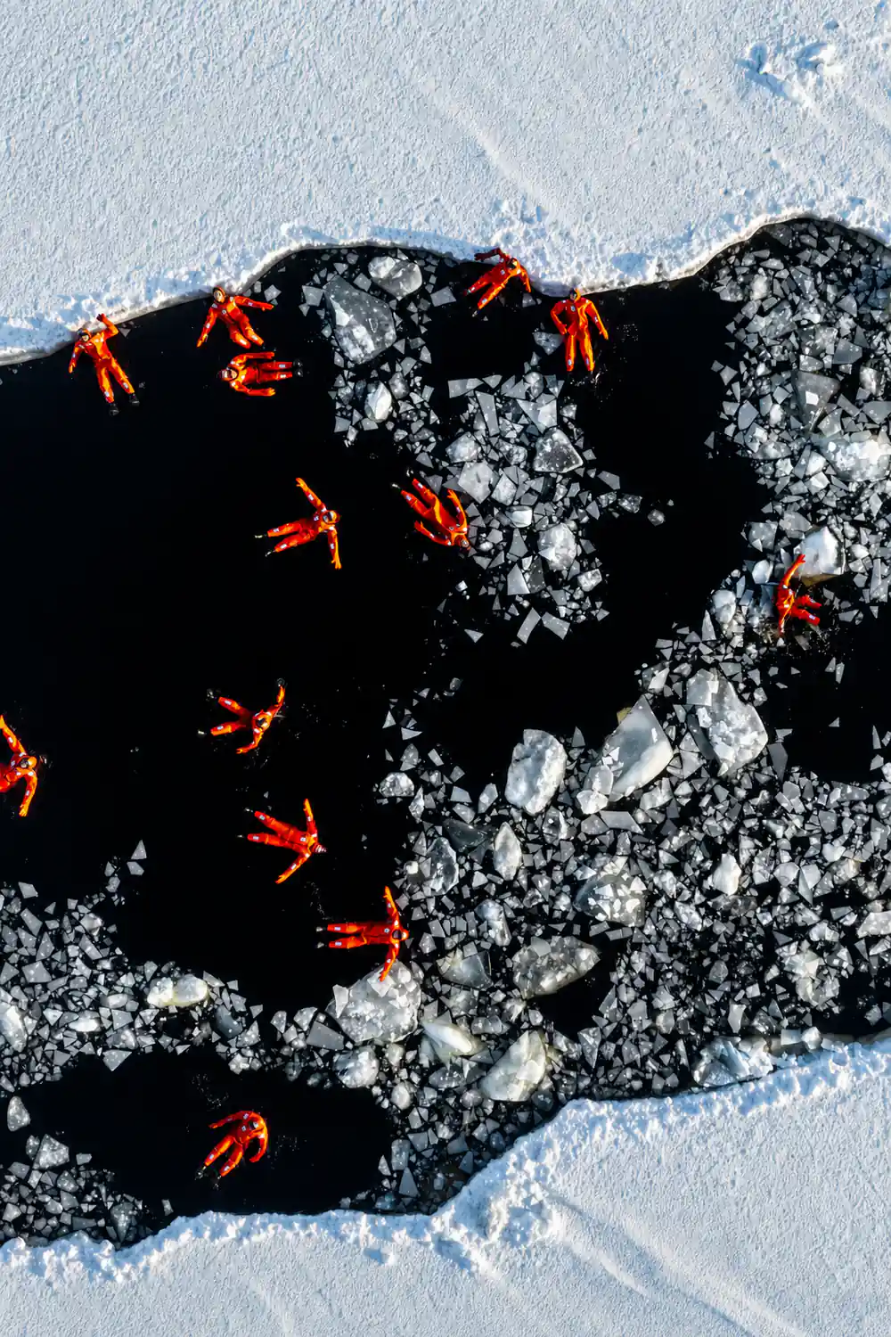 Passengers floating among broken ice in dark water, from above